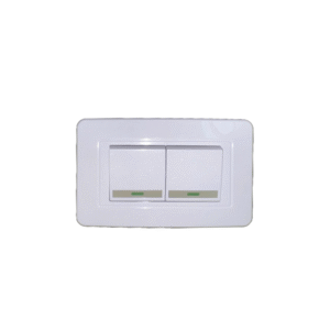 INTERRUPTOR DOBLE ECONOMICO